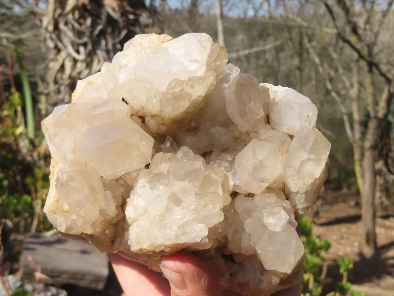 Natural Smokey Quartz Cluster x 1 From Congo